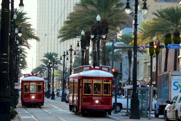 Two red streetcars are traveling on a palm tree-lined street in a city setting under a clear sky.