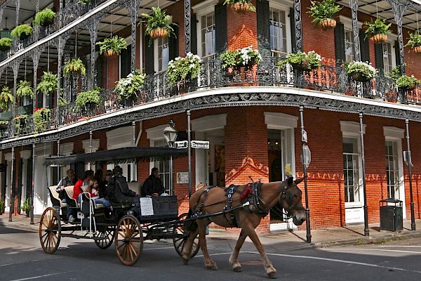 A horse-drawn carriage passes a historic building with ornate ironwork and flower-adorned balconies under a clear sky.