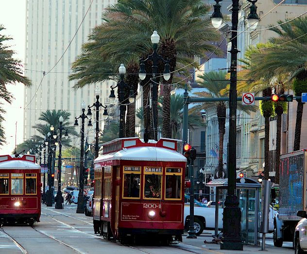 Two red streetcars are traveling down a palm tree-lined street in an urban area, with buildings and cars around.